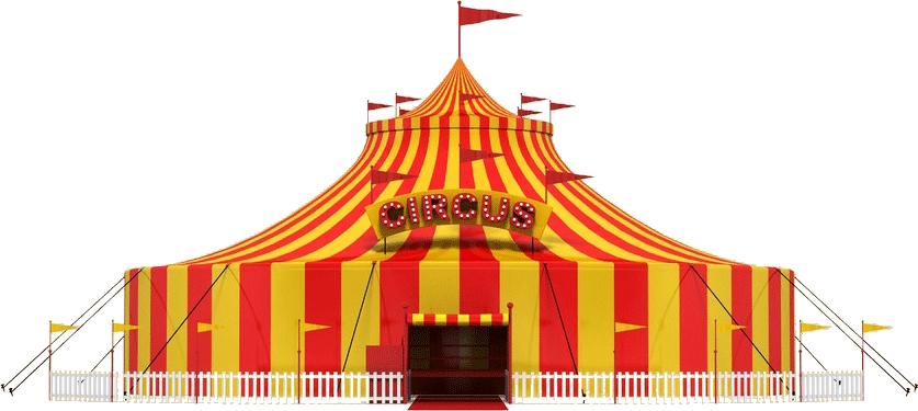 dvd site internet de cirque