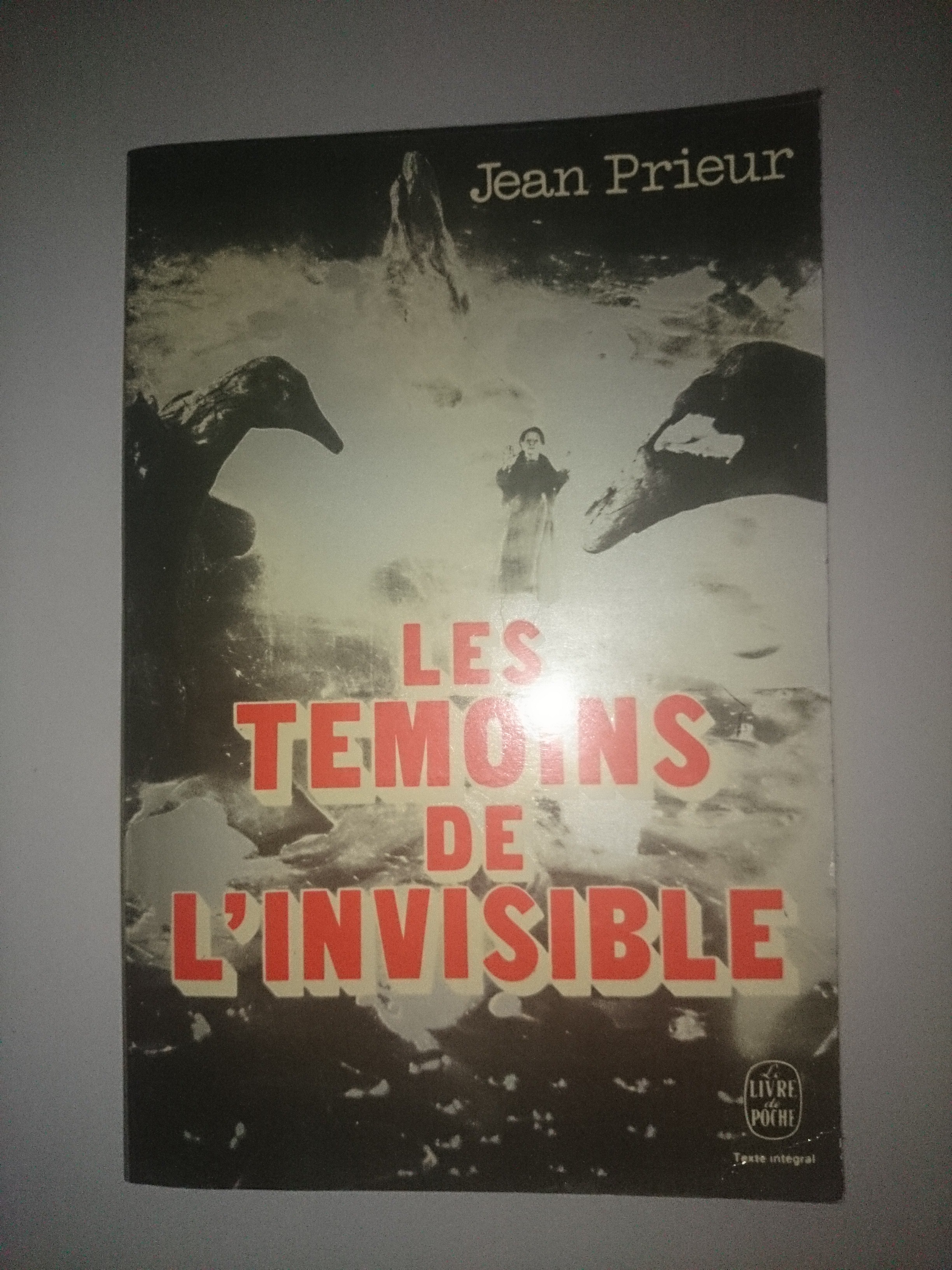 livre les témoins de l'invisible