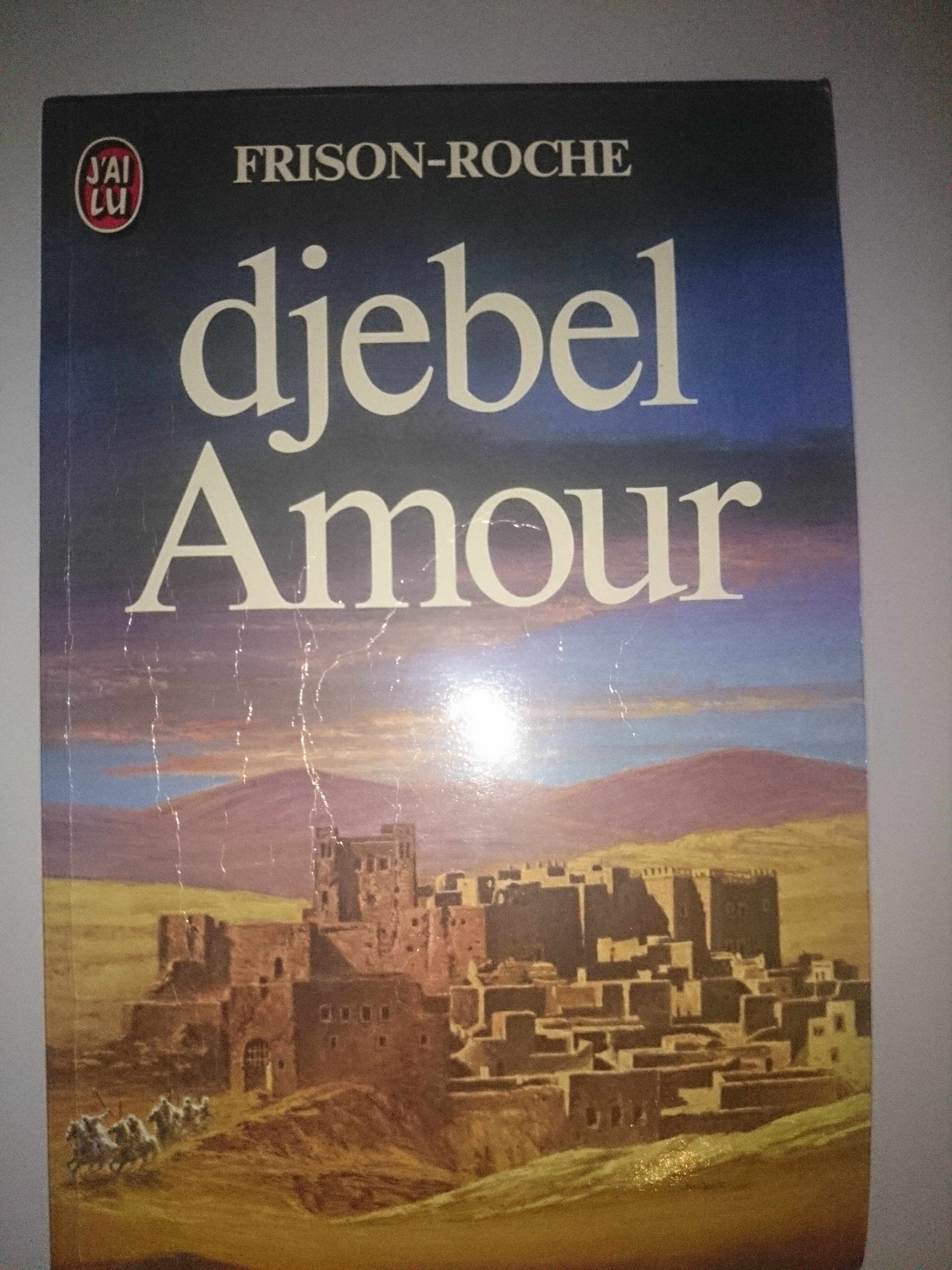 livre djebel amour