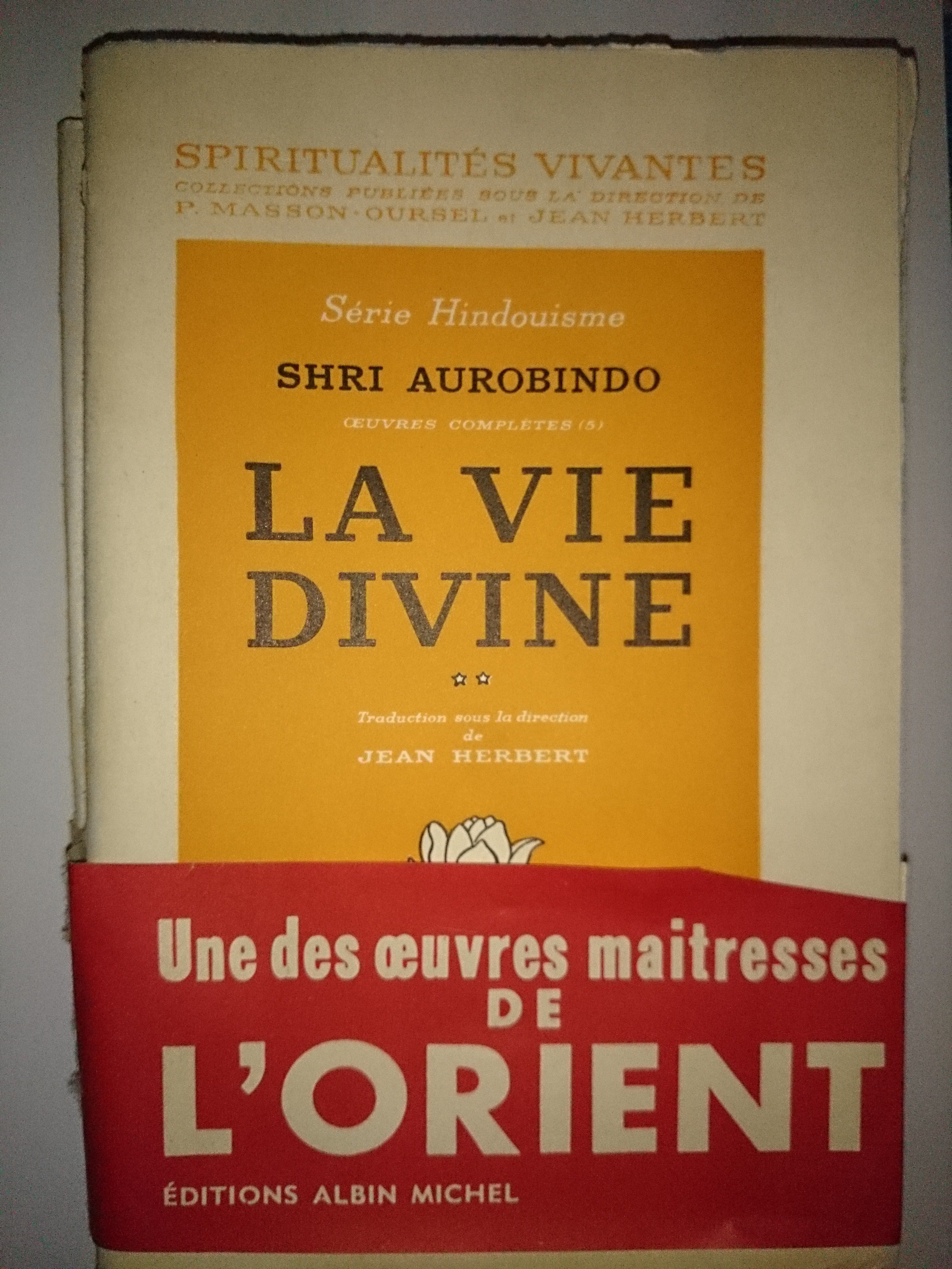 livre la vie divine