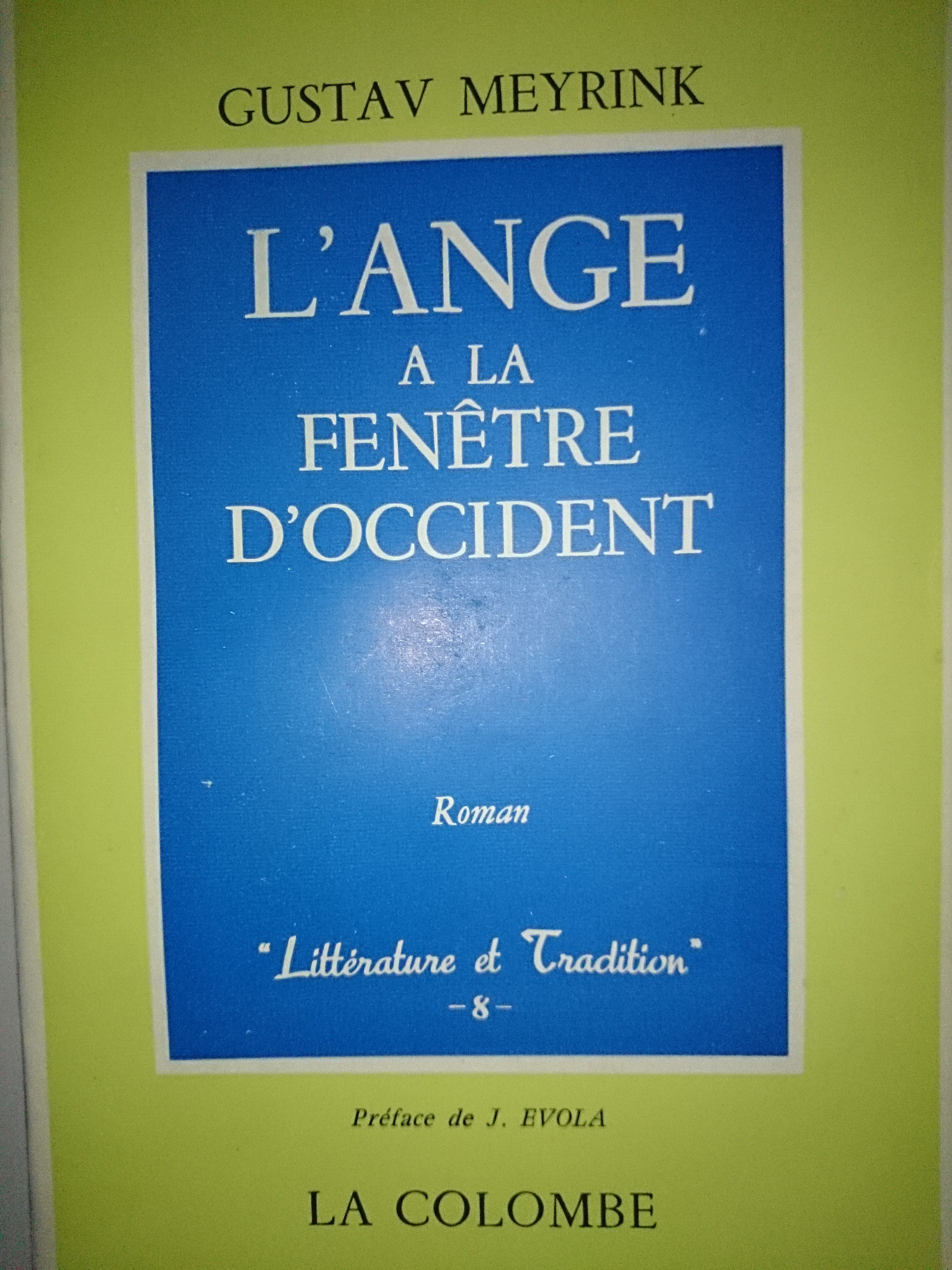 livre l'ange a la fenêtre d'occident