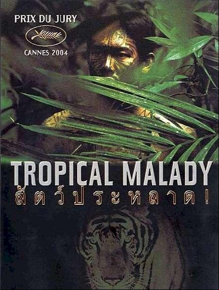 dvd tropical malady