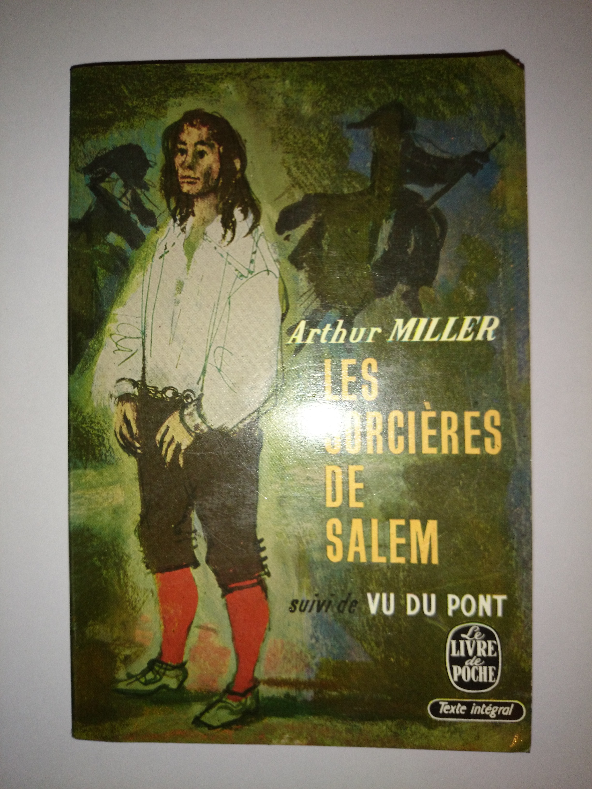 livre les sorcières de salem