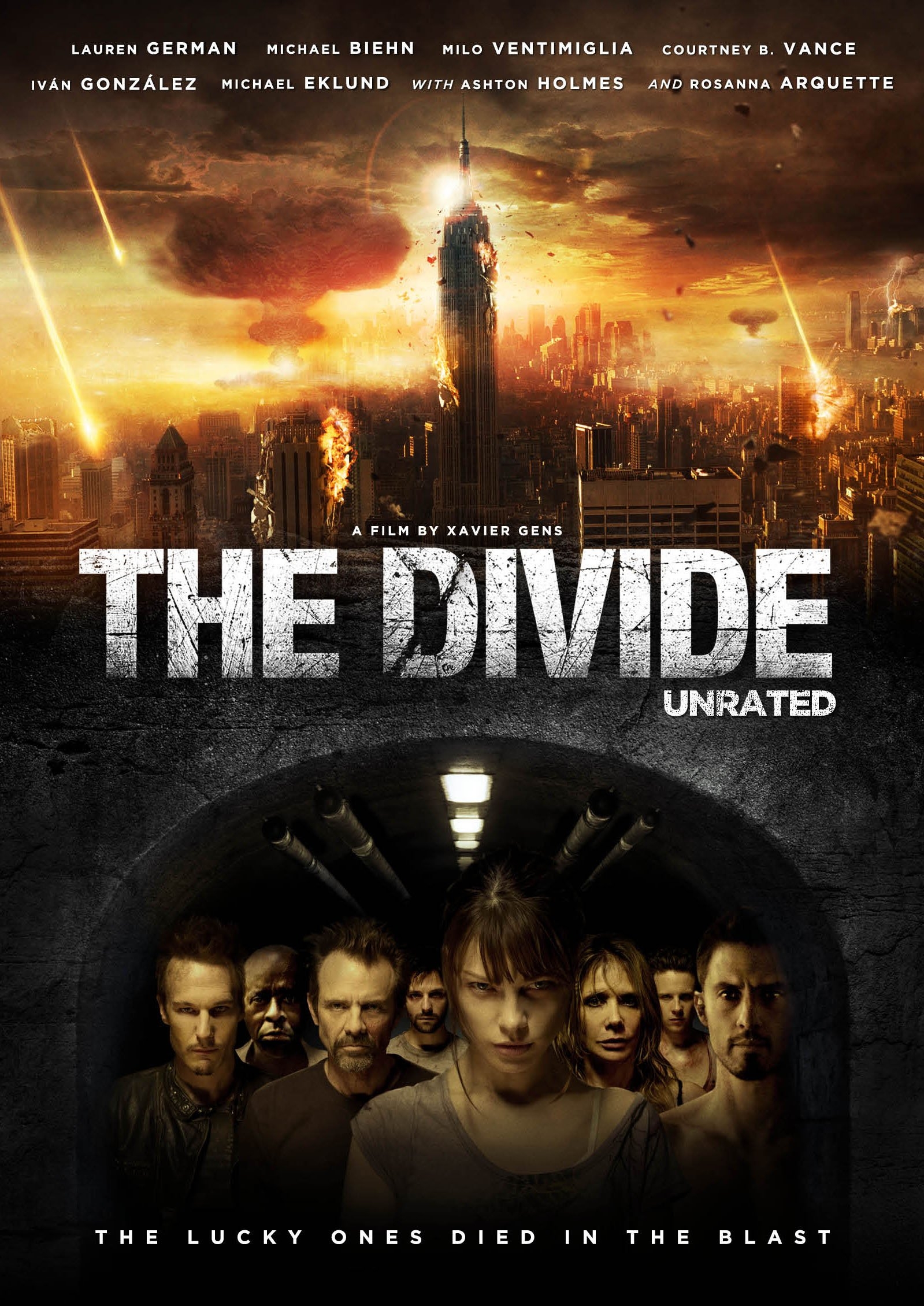 dvd the divide